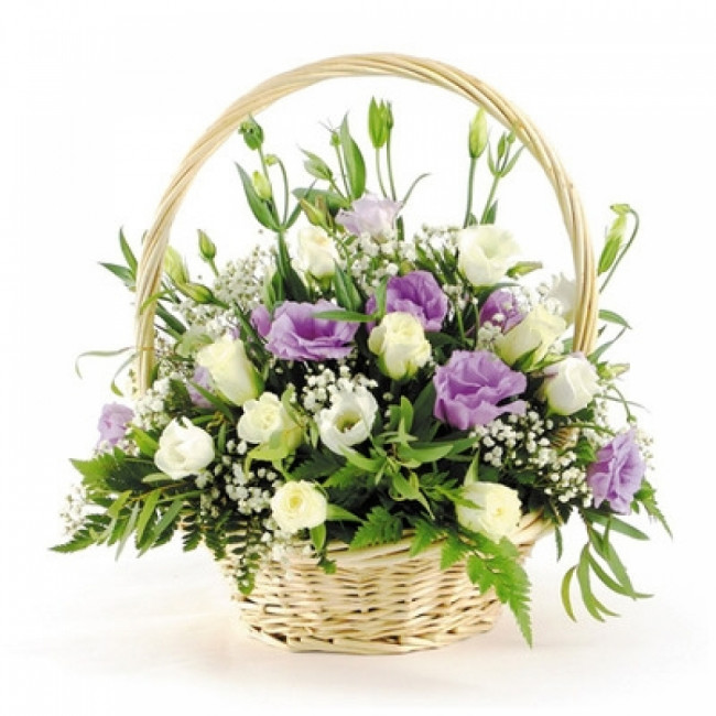 Легкий ветерок Легкий ветерок